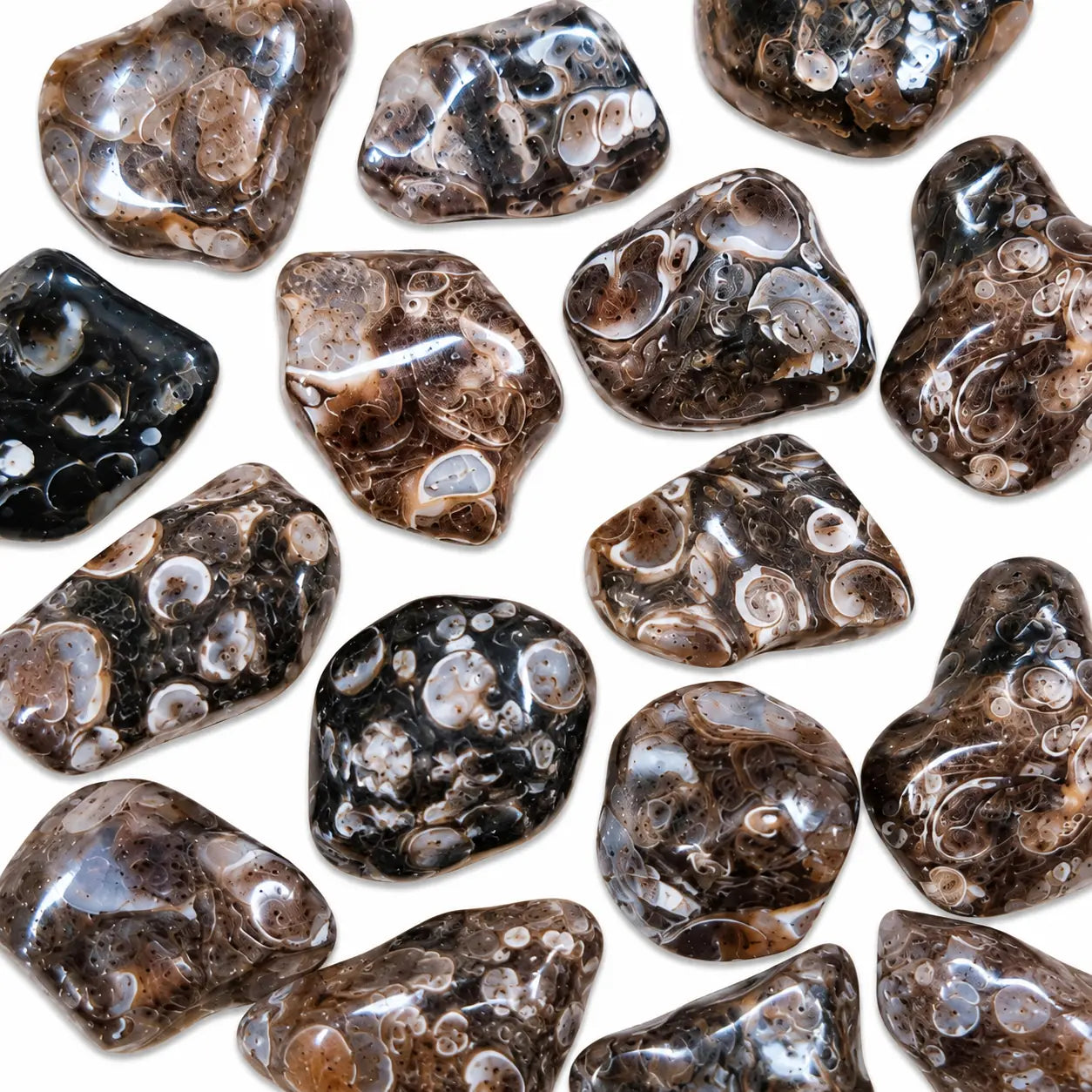 Agate fossile roulée d'Inde