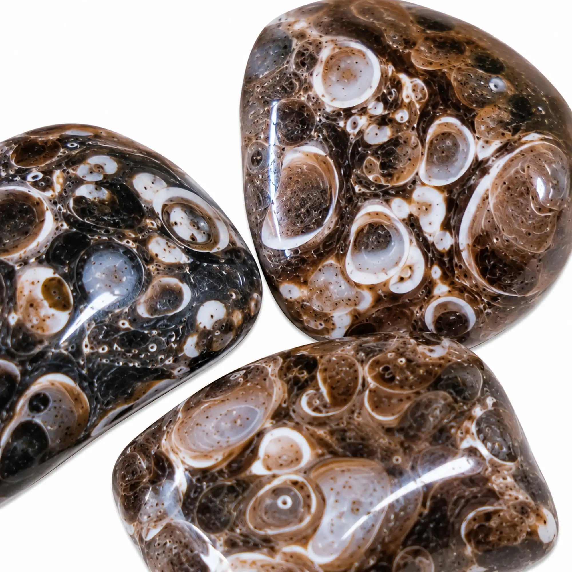 Pierre roulée Agate fossile, Inde