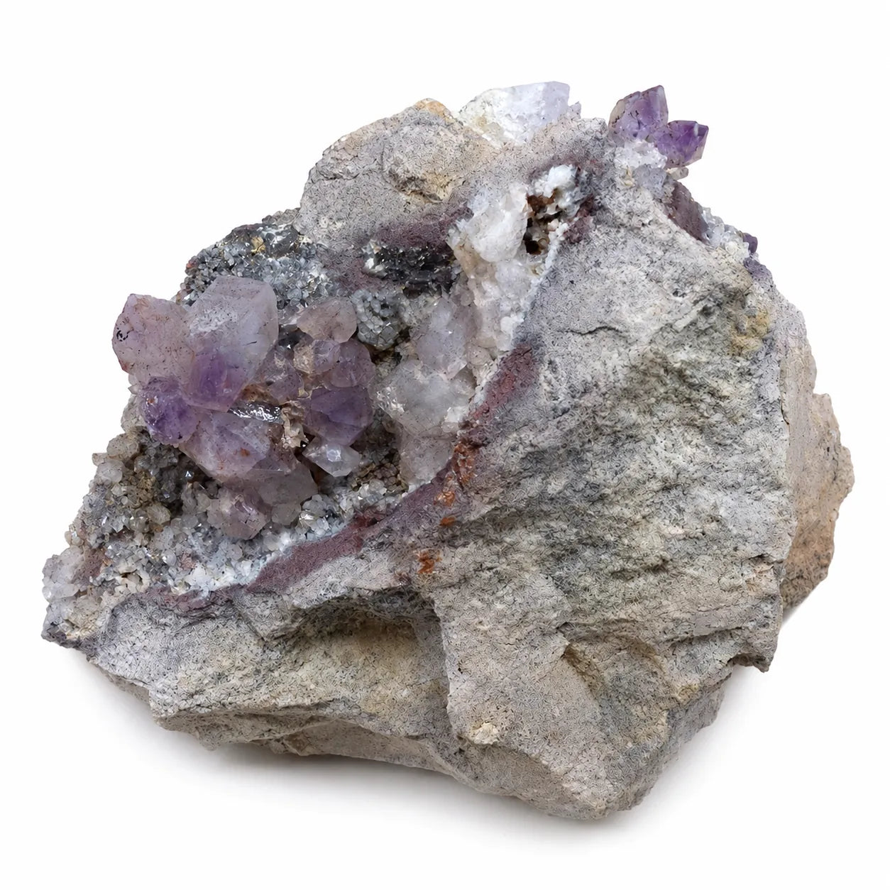 Pierre de collection Améthyste cristaux sur gangue d'Osilo en Sardaigne, présentant des cristaux d'améthyste violets naturels sur une matrice minérale claire, vue de face.