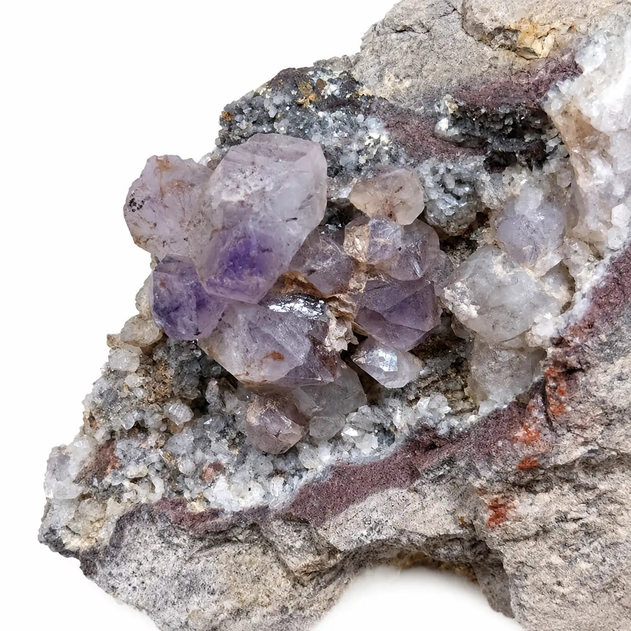 Profil de l'améthyste de collection sur gangue d'Osilo en Sardaigne, mettant en valeur les cristaux d'améthyste et les minéraux associés sur la matrice naturelle.