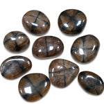 Lot de pierres naturelles andalousite variété chiastolite roulées de Chine, montrant les célèbres inclusions en croix noires caractéristiques, galets polis de collection et de lithothérapie sur fond blanc.