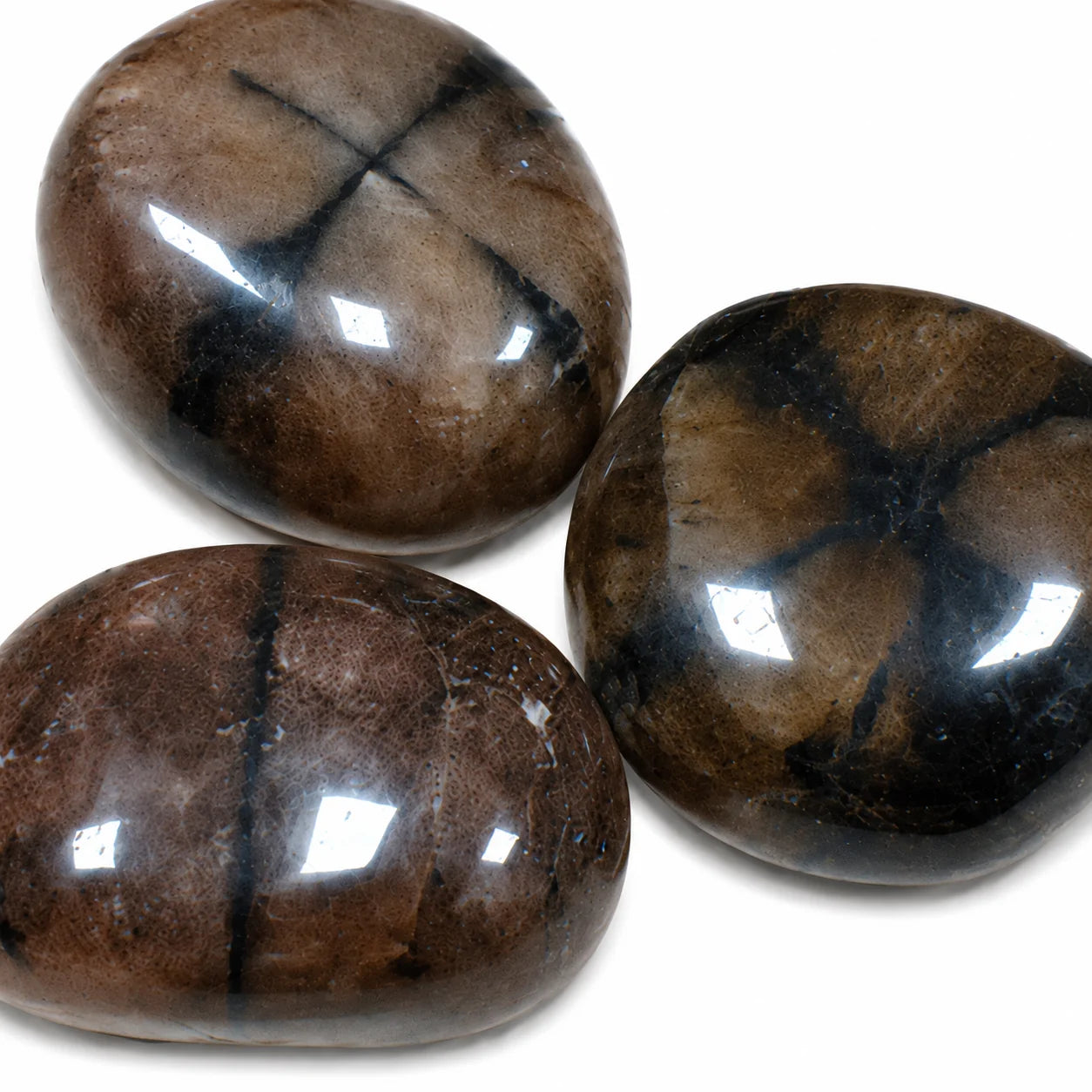 Gros plan sur trois pierres naturelles andalousite chiastolite roulées de Chine, avec leurs motifs cruciformes noirs parfaitement visibles, galets polis aux teintes brunes et beige naturelles.