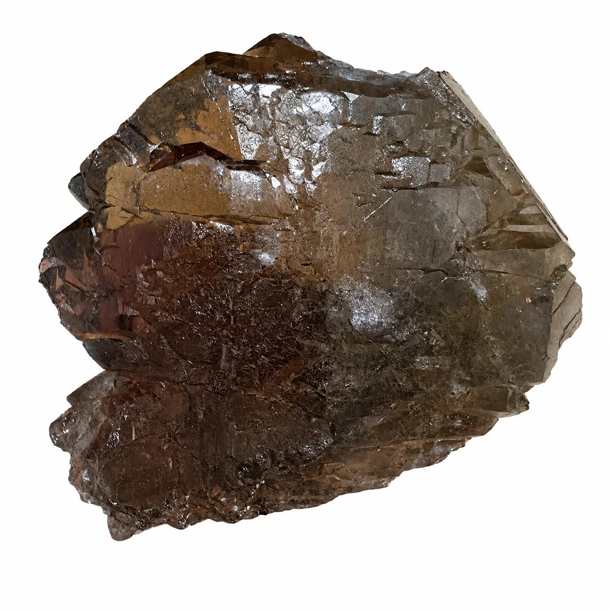 Gwindel fumé du Mont-Blanc – Découverte Talèfre 2023, cristal de quartz fumé alpin présentant une cristallisation gwindel naturelle avec teinte brun fumé intense, vue de face sur fond blanc.