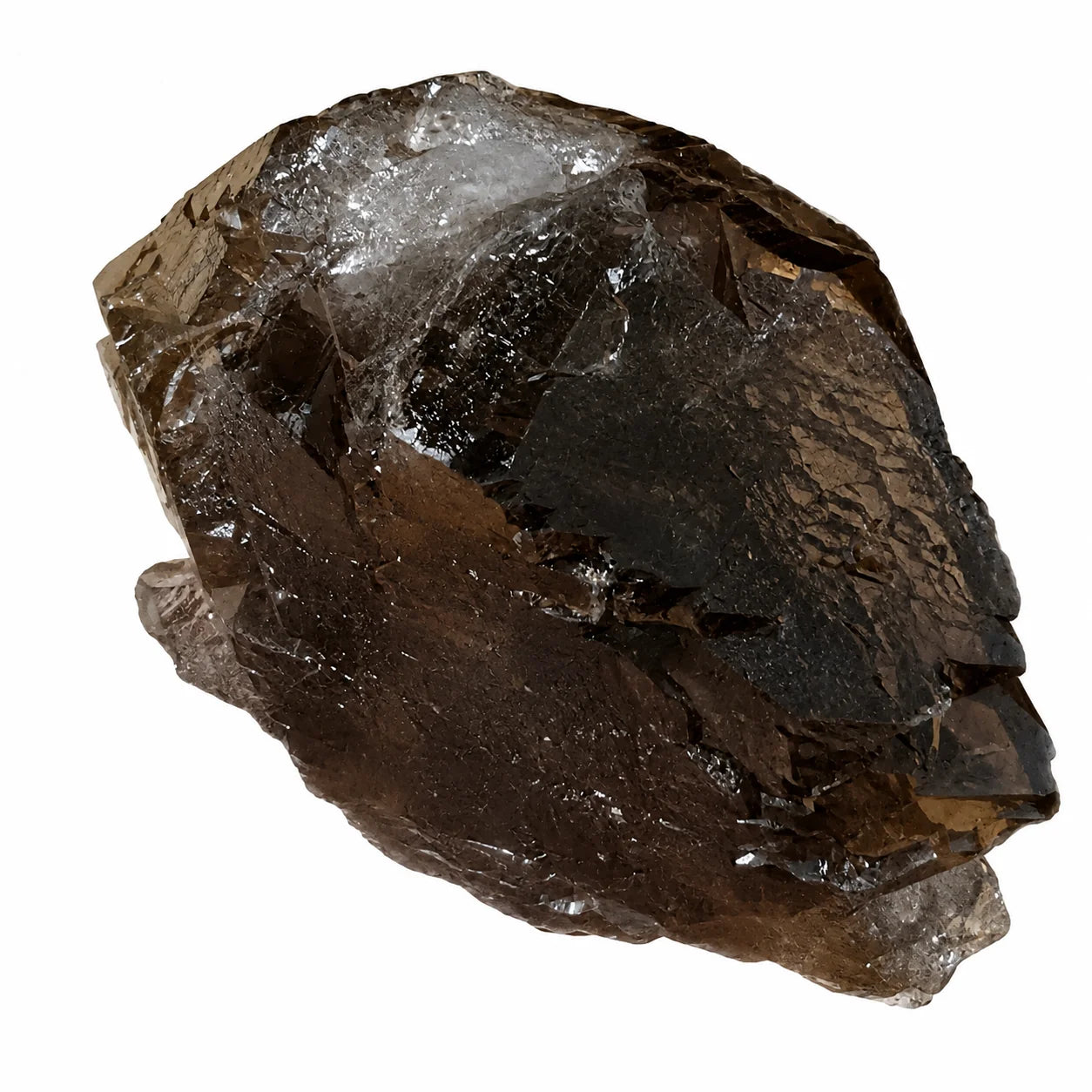 Quartz fumé Gwindel du Mont-Blanc, découverte Talèfre 2023, spécimen minéralogique alpin montrant une zone de recristallisation naturelle et une excellente transparence fumée