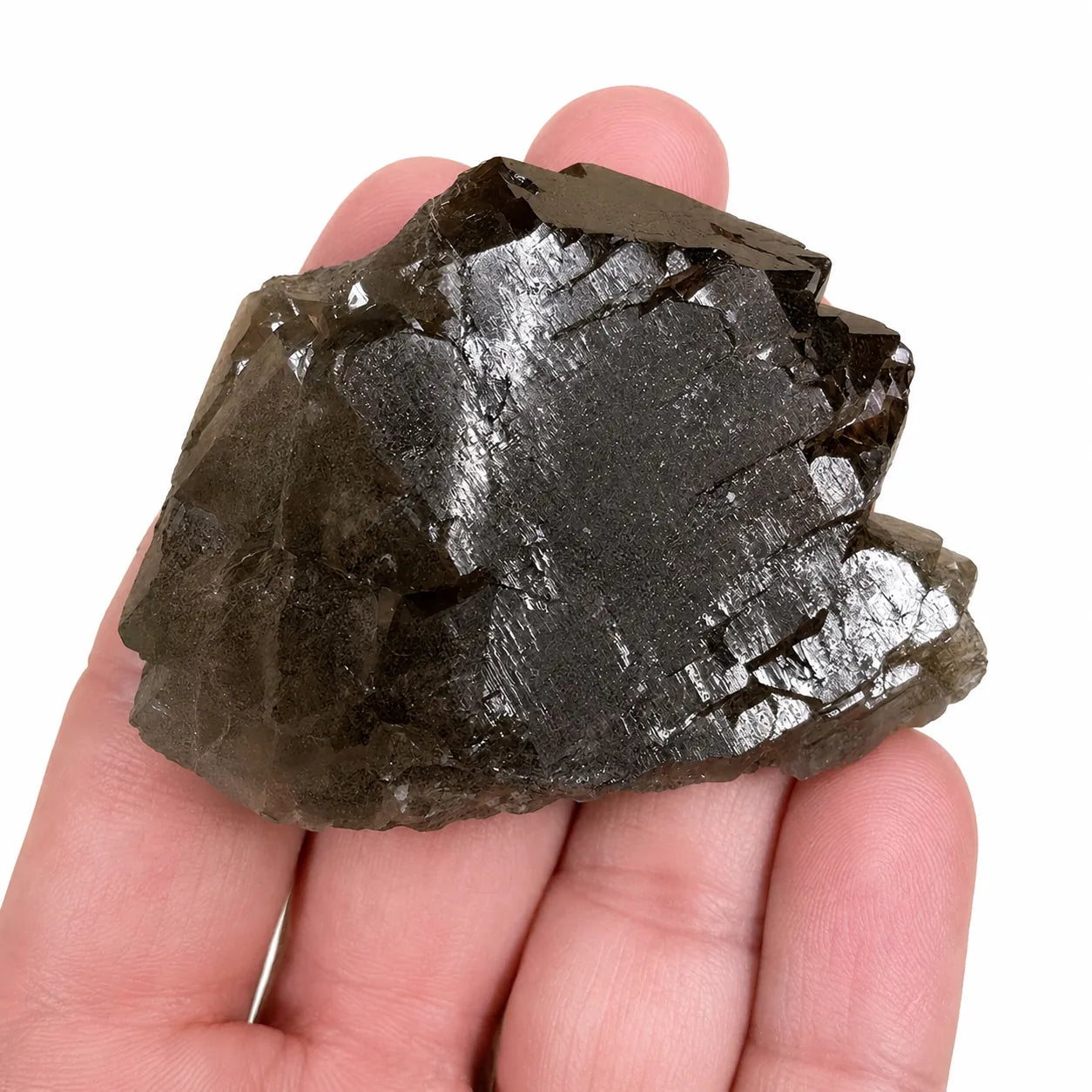 Gwindel fumé du Mont-Blanc – Découverte Talèfre 2023 présenté dans la main pour apprécier ses dimensions, cristal de quartz fumé alpin naturel de collection à cristallisation gwindel