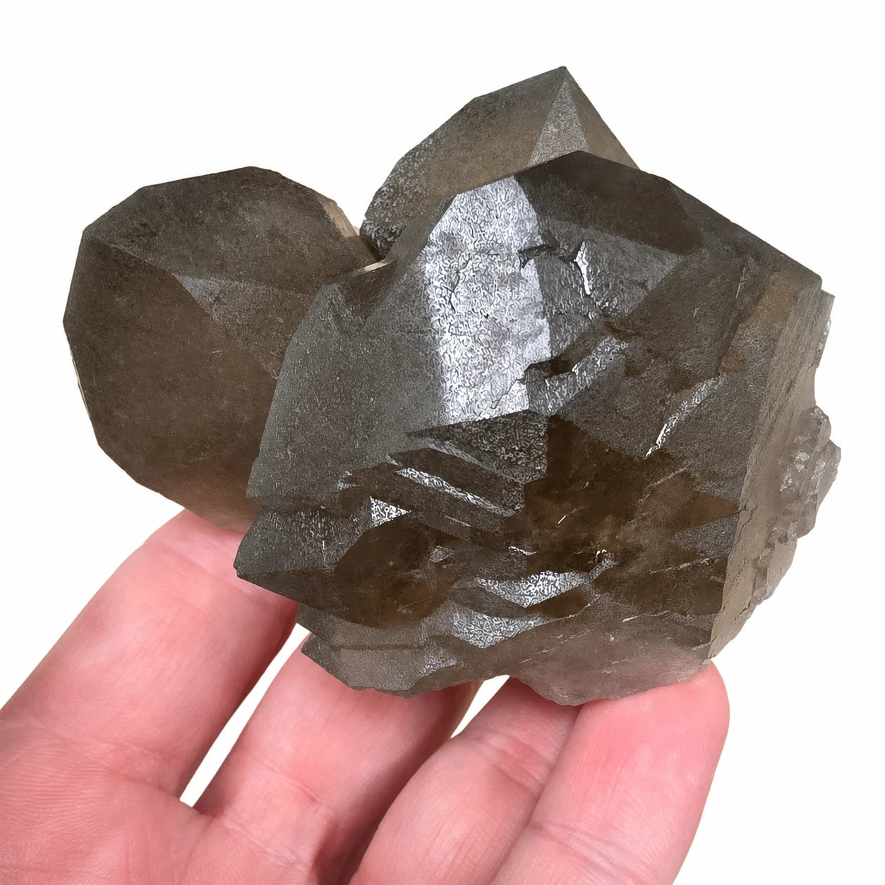 Grand spécimen de quartz fumé gwindel de Talèfre, Mont Blanc, France, pierre naturelle de collection recherchée pour sa croissance spiralée, sa couleur fumée et ses cristaux parfaitement formés.