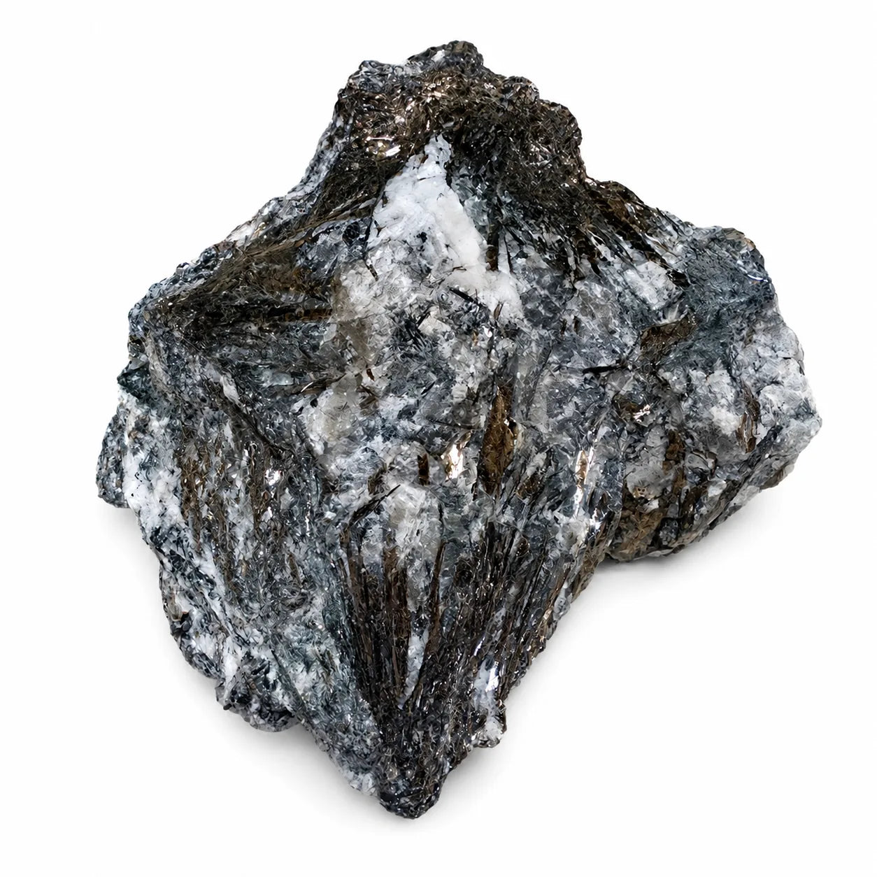 Spécimen minéral d’astrophyllite de Russie avec cristaux brun bronze brillants sur gangue blanche et grise