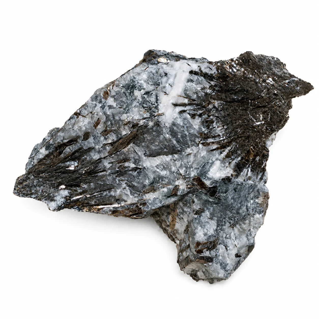 Astrophyllite cristallisée sur gangue, pierre de collection de Russie présentant des cristaux métalliques allongés