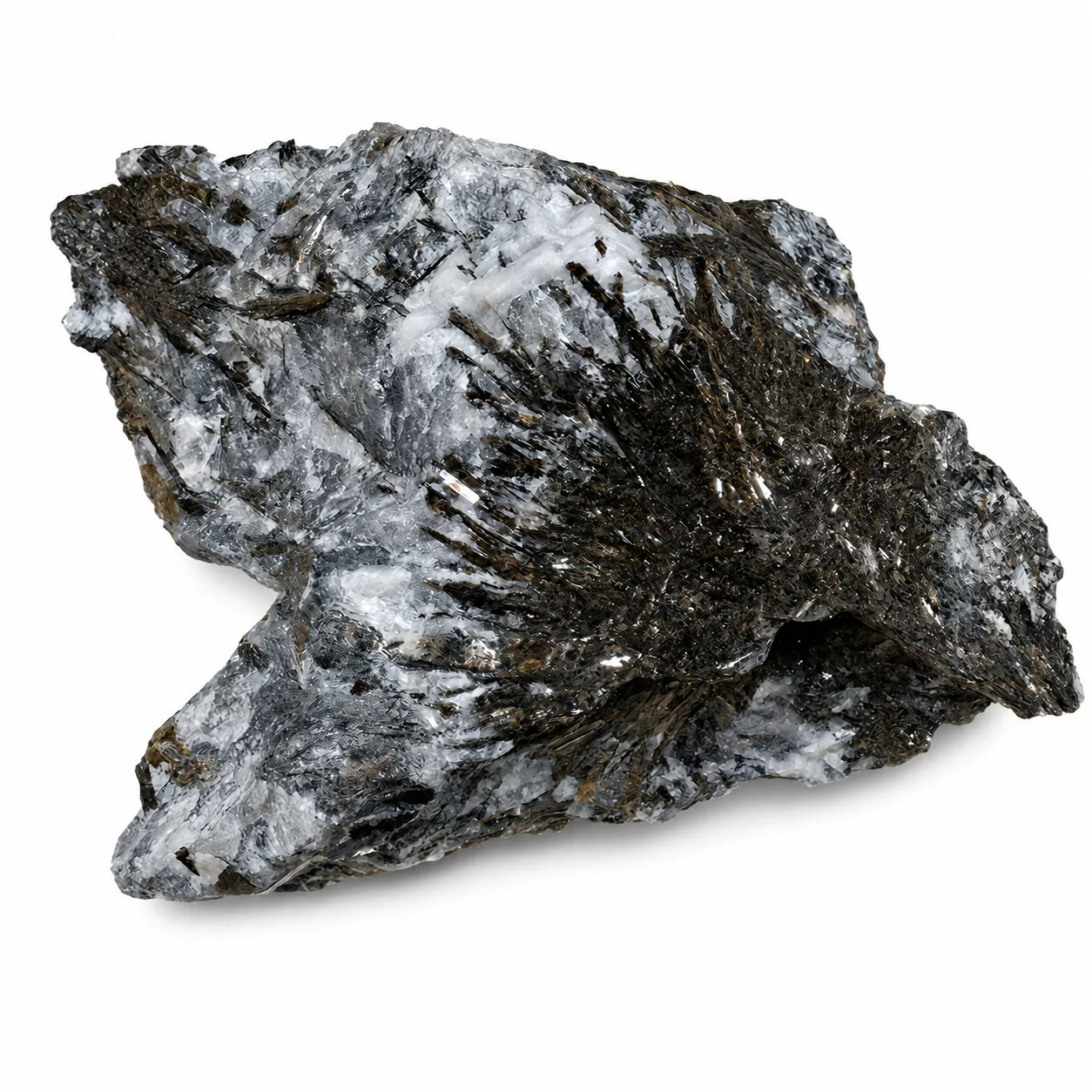 Pierre naturelle d’astrophyllite de Russie, cristaux brun doré à éclat métallique associés à une gangue claire