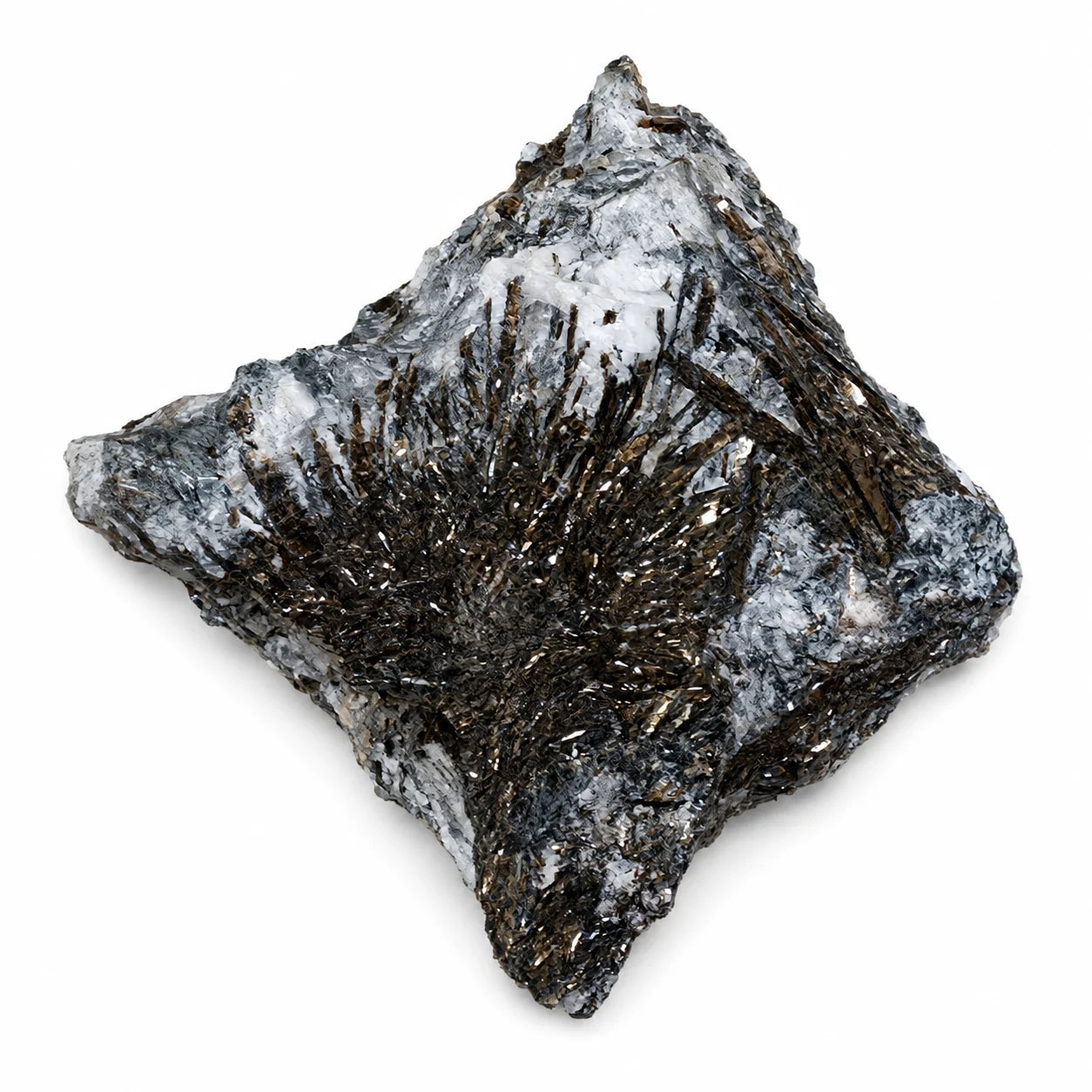 Spécimen d’astrophyllite sur gangue provenant de Russie, vue détaillée des cristaux métalliques et de la matrice minérale