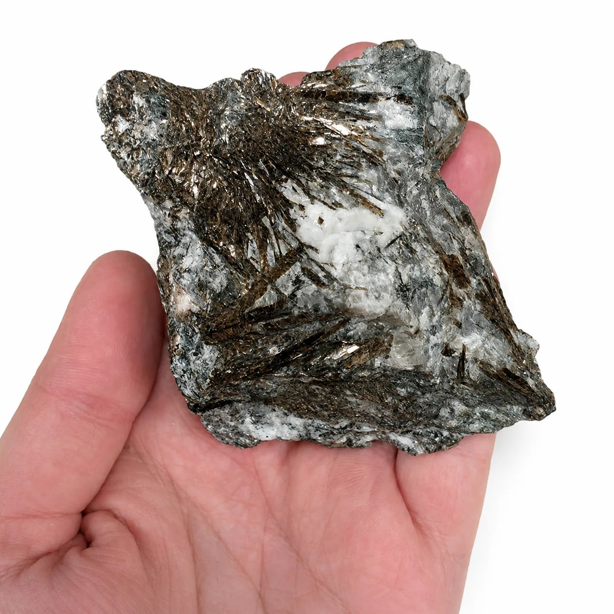 Astrophyllite de Russie sur gangue minérale, spécimen de collection avec cristaux métalliques brun bronze et étiquette