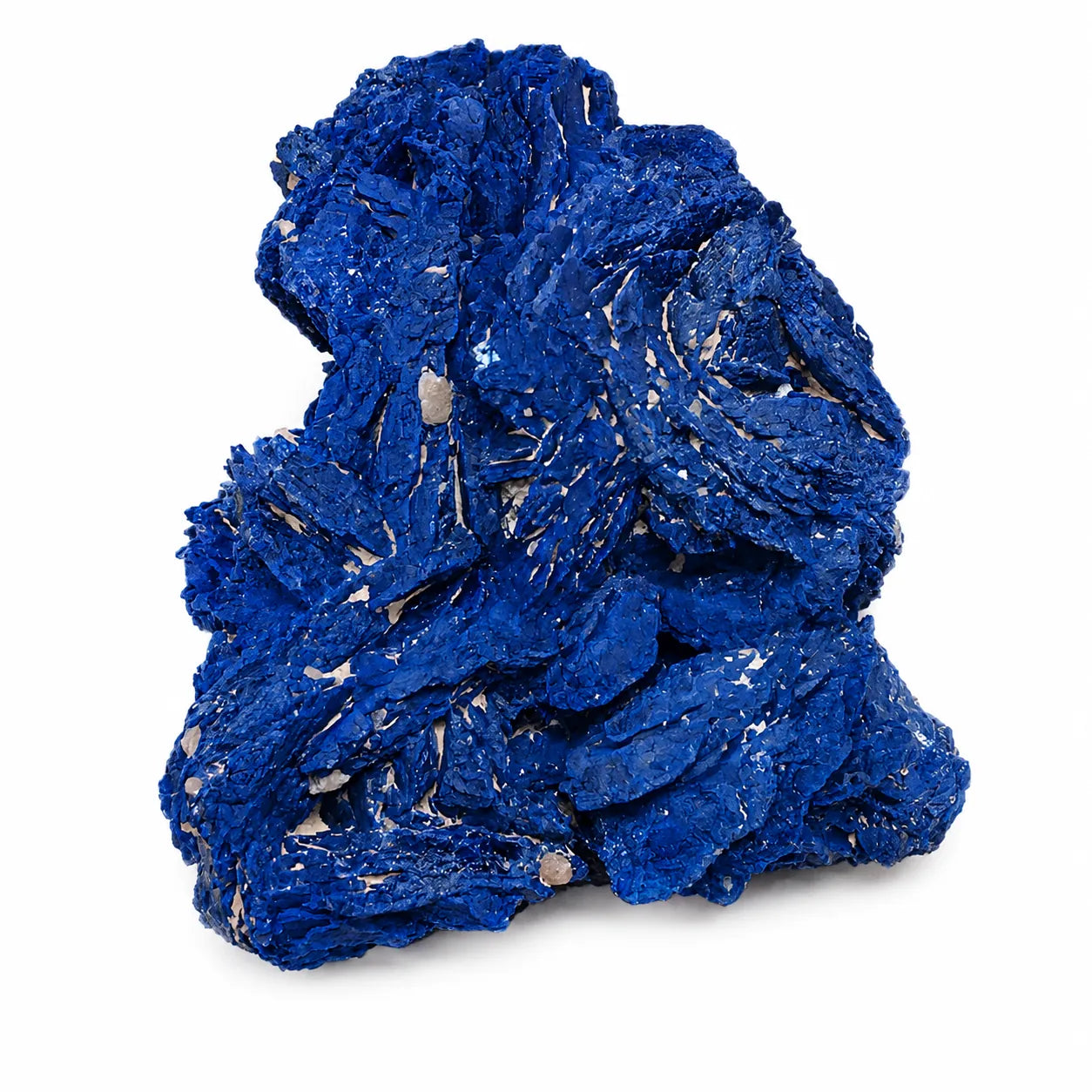 Spécimen d'azurite de Chessy, France, composé de cristaux tabulaires bleu cobalt sur fond blanc, photographie de minéral naturel destinée à la collection et à l'identification minéralogique.