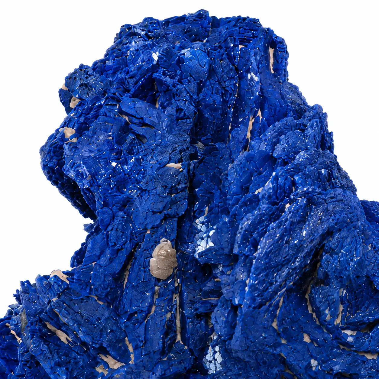 Photographie macro d'une azurite de Chessy, France, révélant les détails des cristaux tabulaires, les faces naturelles et la texture cristalline d'un spécimen minéralogique de collection.