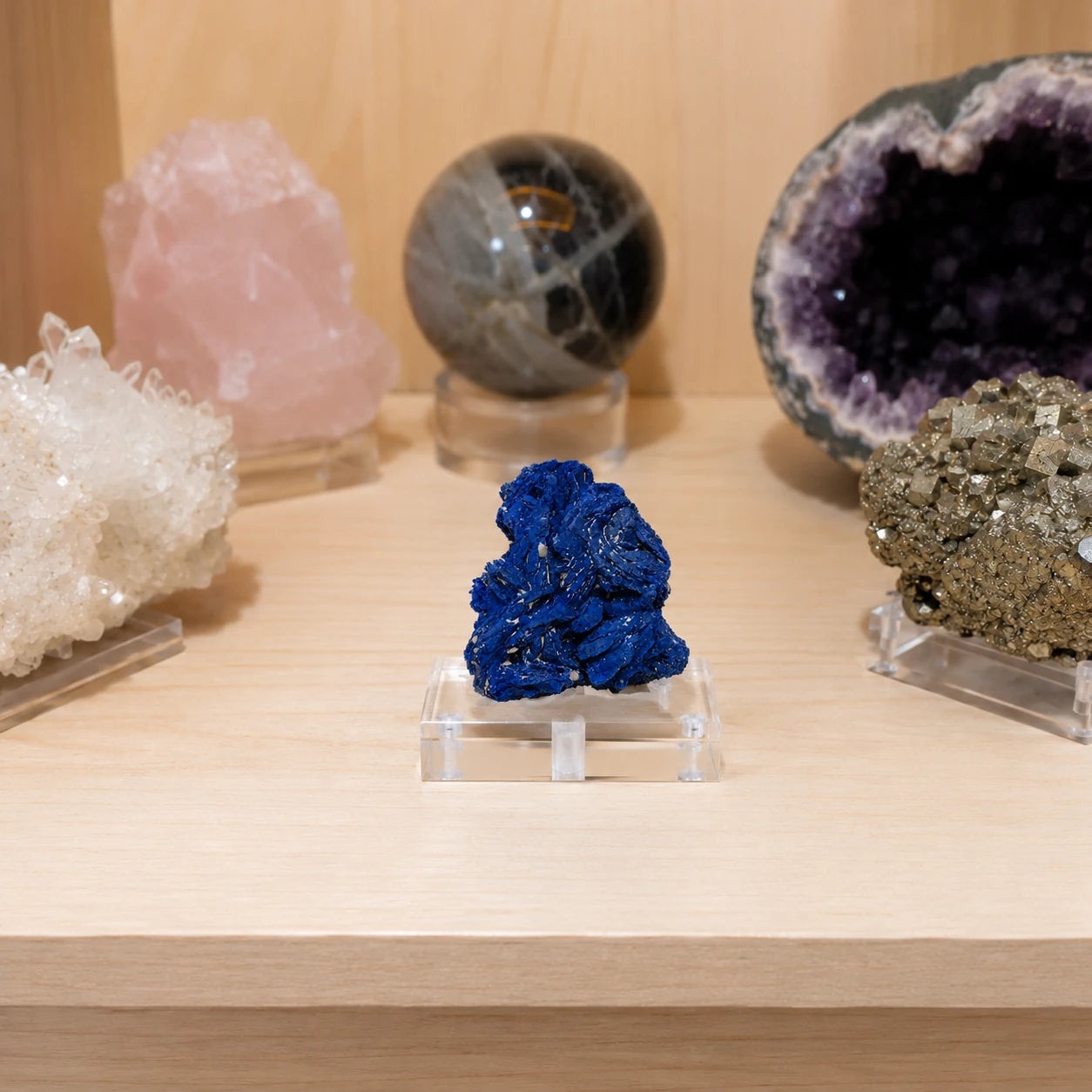 Azurite – groupe de cristaux tabulaires de Chessy, France, exposée sur un socle transparent dans une vitrine de minéraux, spécimen de collection bleu intense aux cristaux naturels parfaitement développés.