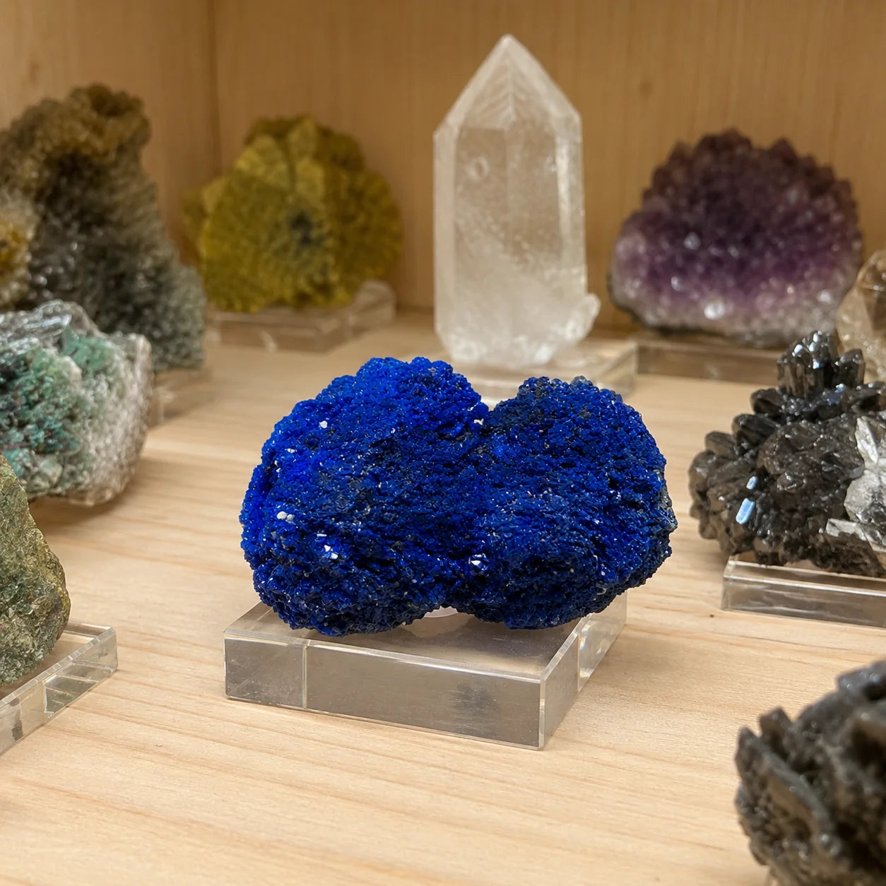 Azurite de Chessy-les-Mines exposée sur un socle dans une vitrine de minéraux, spécimen de collection mettant en valeur la cristallisation naturelle bleu intense.