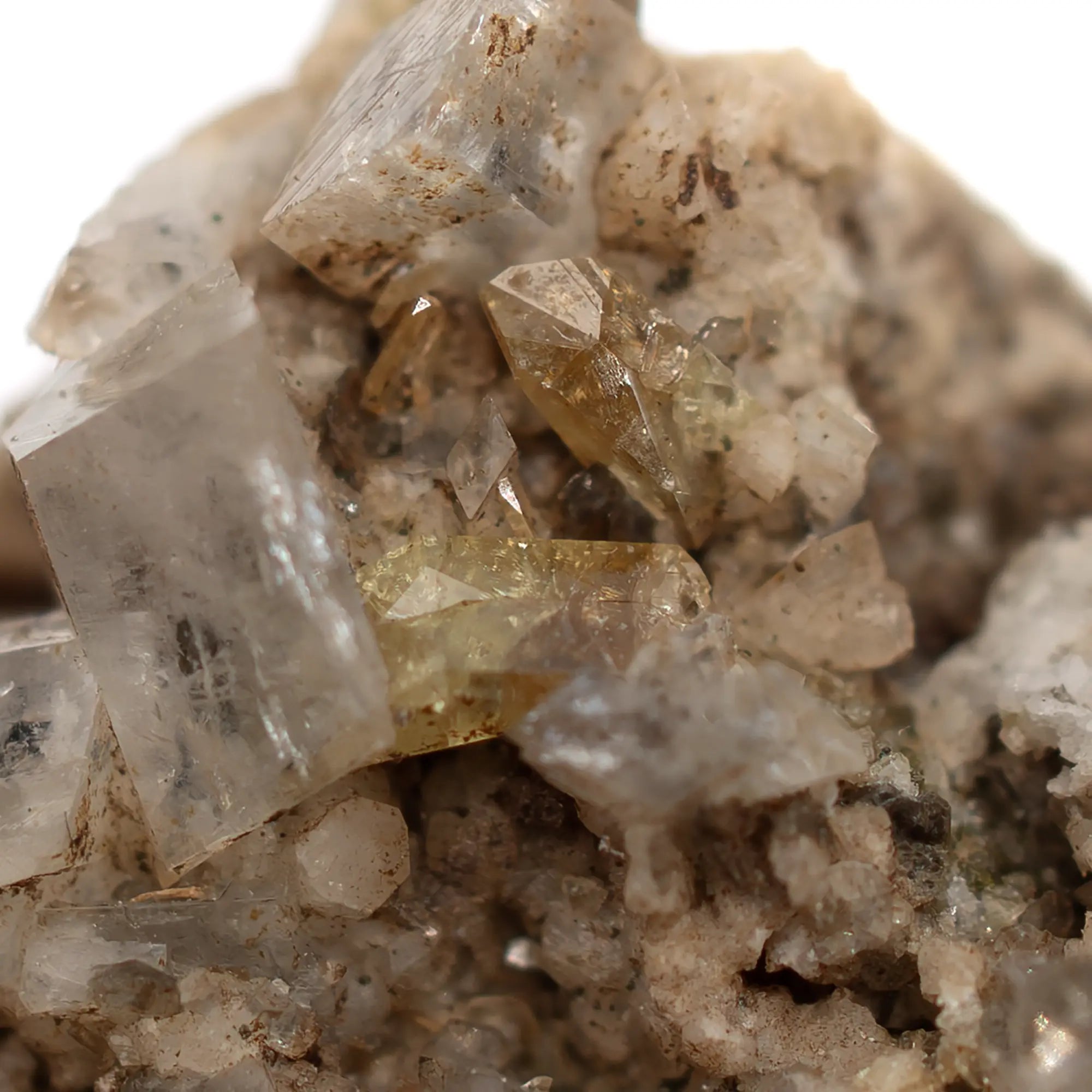 Adulaire blanche avec titanite dorée cristaux sur gangue - Suisse