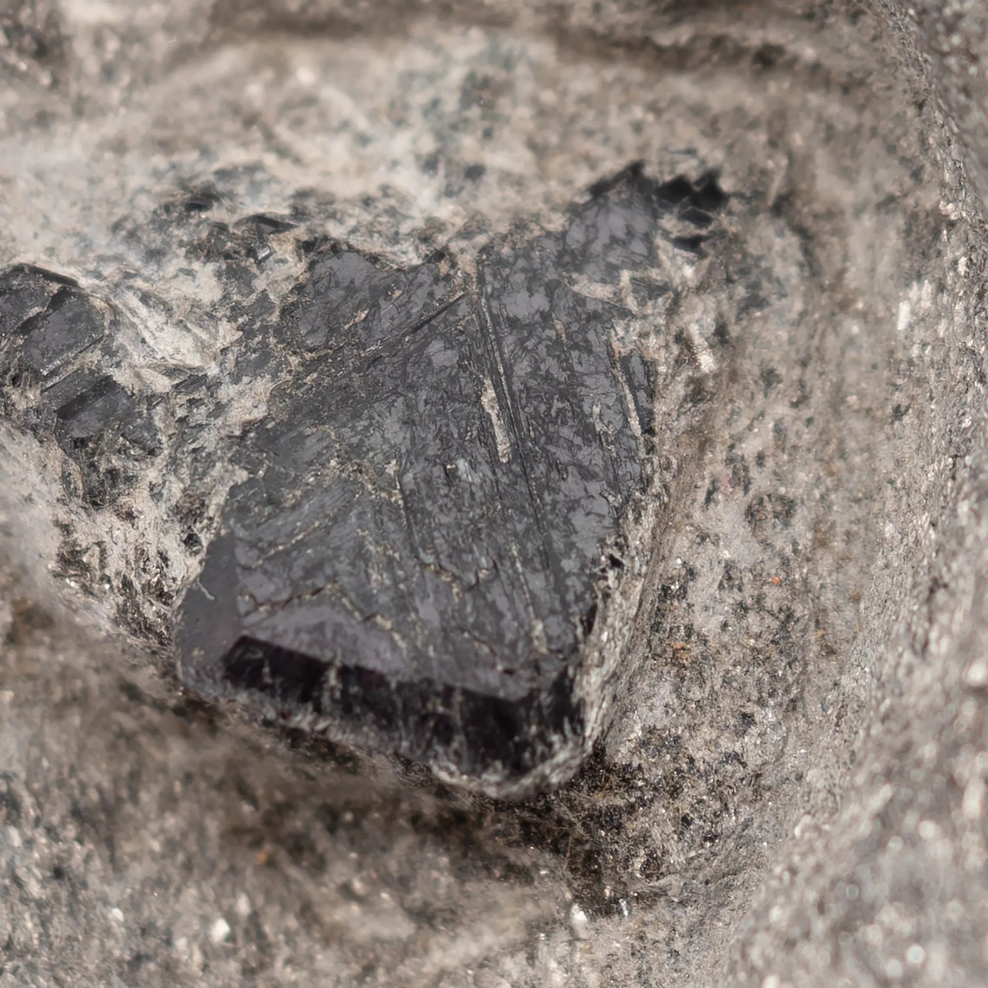 Alexandrite 13 cristaux sur gangue - Carnaiba, Brésil