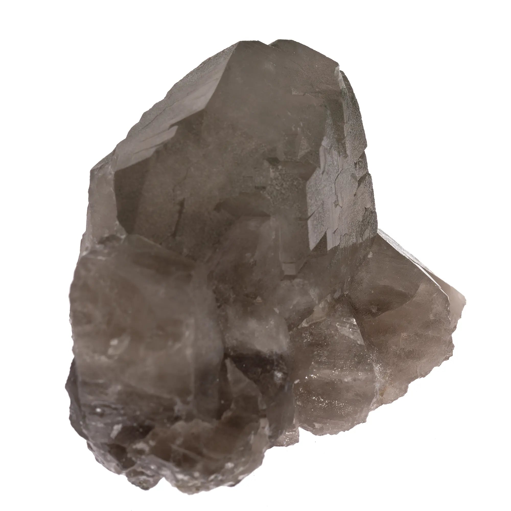 Gwindel fumé du Mont-Blanc avec chlorite – Découverte Talèfre 2023