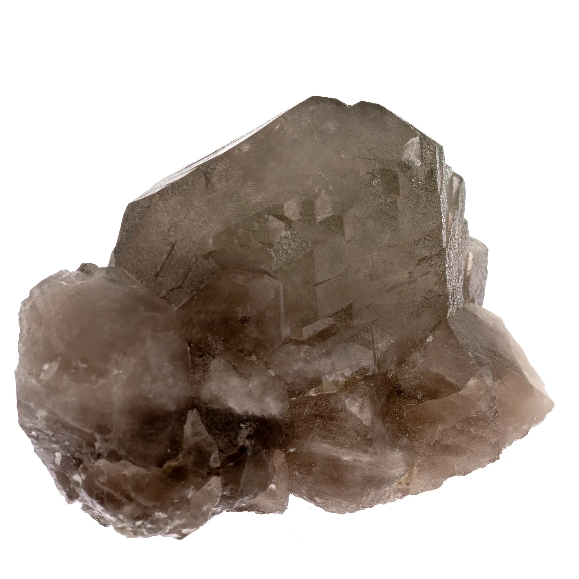 Gwindel fumé du Mont-Blanc avec chlorite – Découverte Talèfre 2023