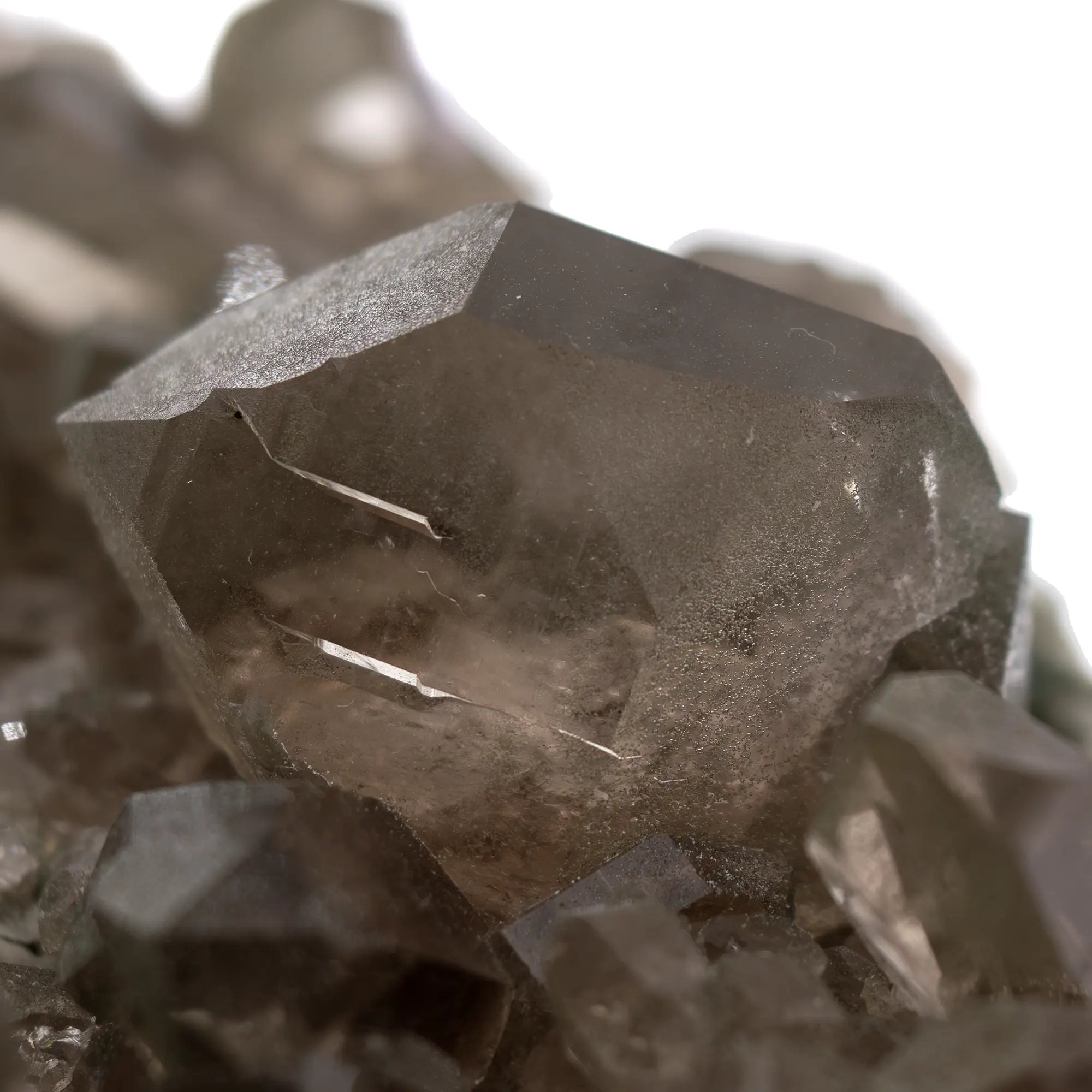 Quartz fumé gwindel alpine avec chlorite – Talèfre Chamonix