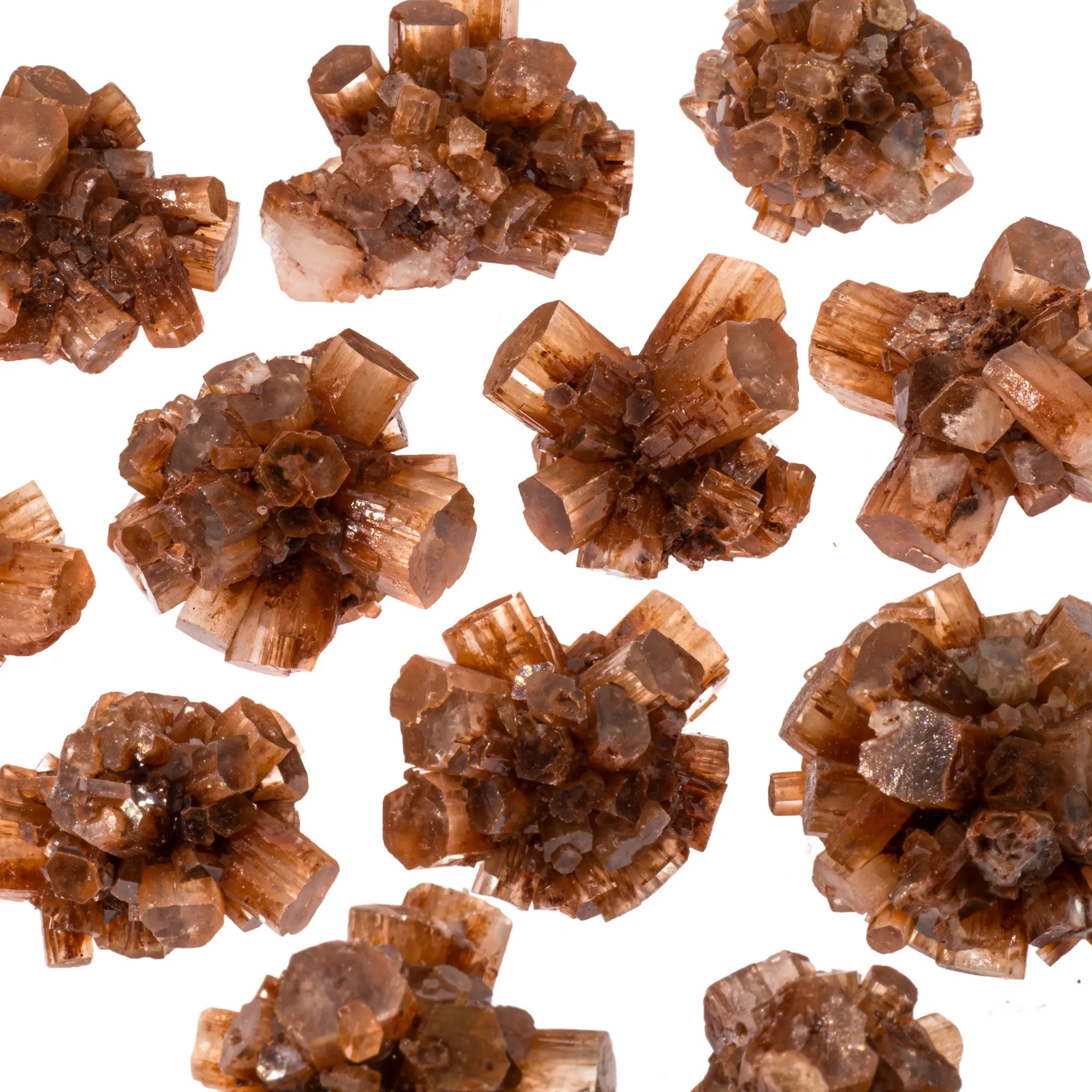 Aragonite - pierre brute - 3-4 cm - Maroc - CRISTAL SOURCES