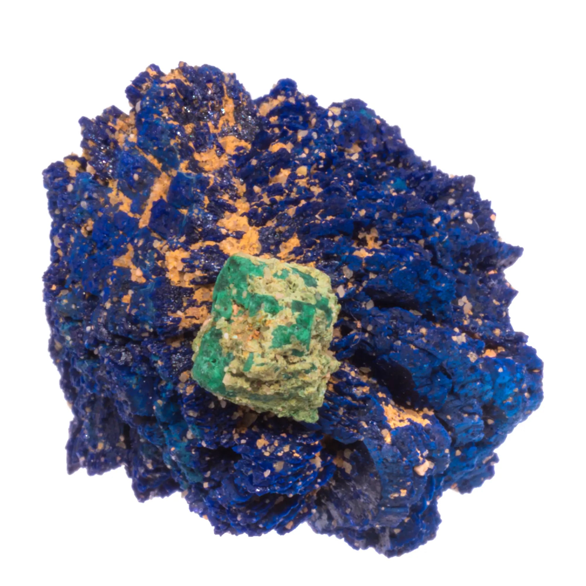 Nodule d'Azurite avec Cuprite - Chessy, France - CRISTAL SOURCES