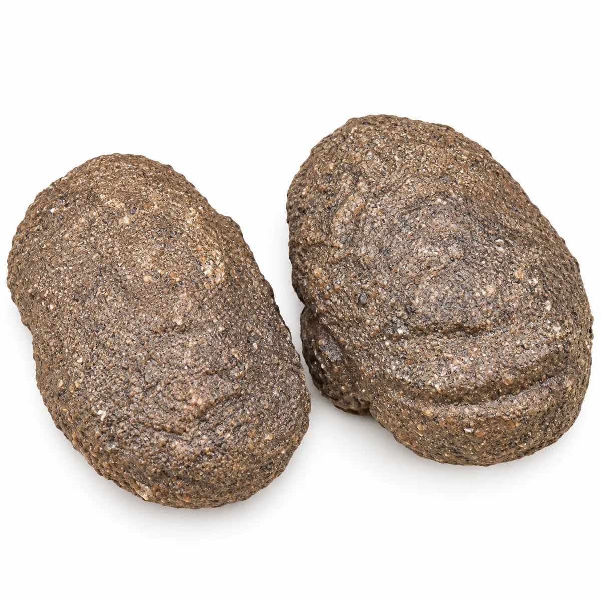 Pierre brute Boji Arizona vendue par paire, gros plan sur deux pierres naturelles brutes aux textures minérales caractéristiques