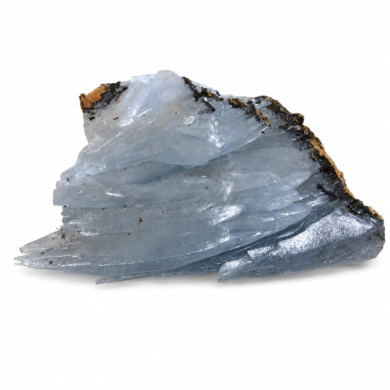 Spécimen de baryte bleue naturelle avec cristaux biterminés sur matrice, gisement de Nador au Maroc, vue latérale mettant en valeur les cristaux allongés.