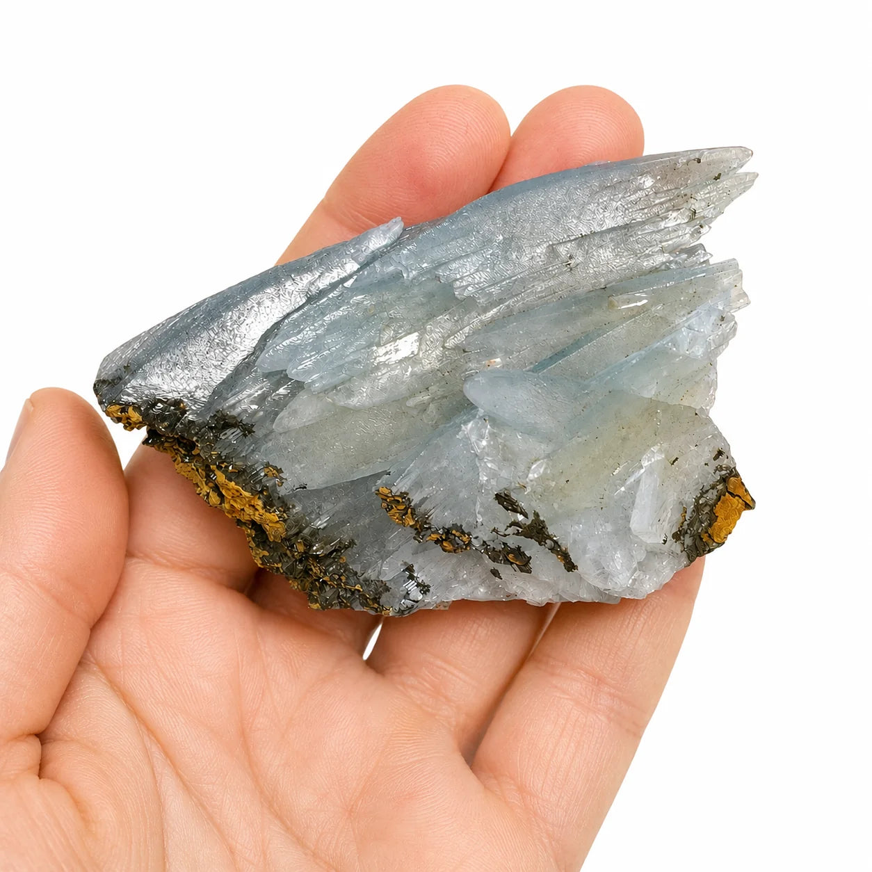 Baryte bleue de collection à cristaux biterminés sur matrice tenue en main, provenance Nador au Maroc, permettant d'apprécier la taille réelle du spécimen minéralogique.