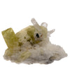 Collection - Brazilianite, beryllonite & quartz - Brésil