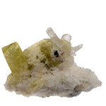 Collection - Brazilianite, beryllonite & quartz - Brésil