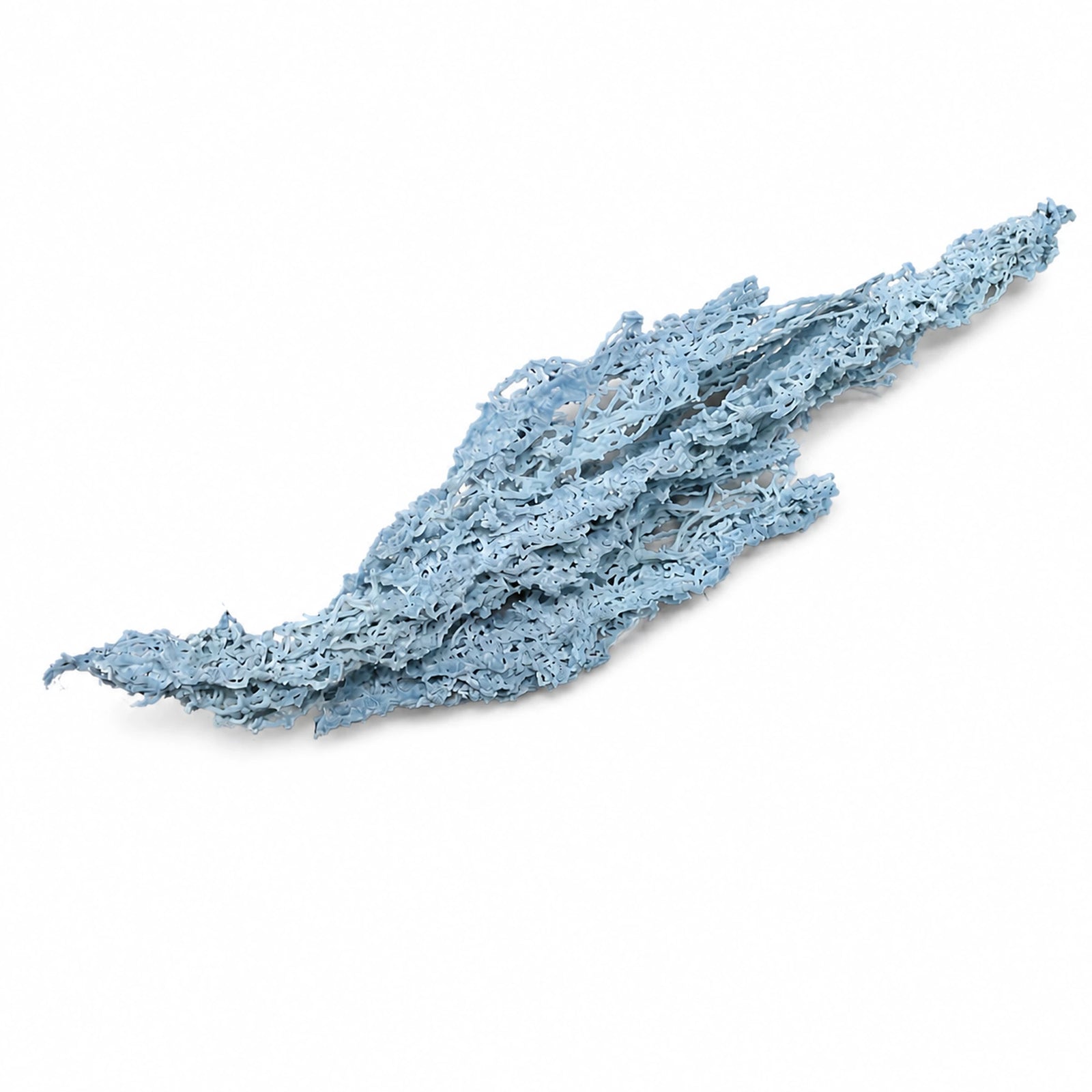 Pierre de collection Calcédoine « corail » bleue brute d’Inde de 21,5 cm, spécimen naturel aux formes ramifiées