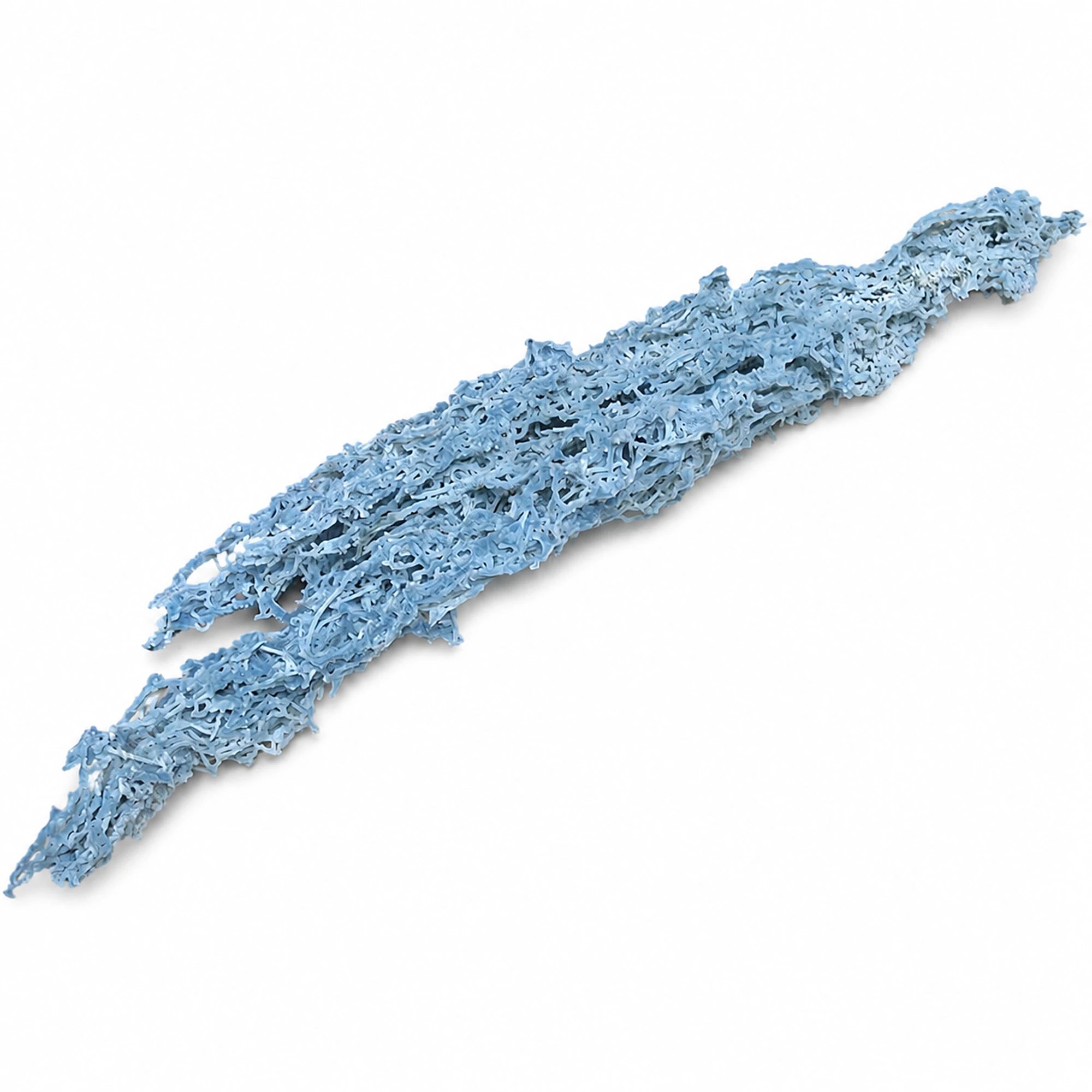Calcédoine « corail » bleue naturelle d’Inde de 21,5 cm, pierre brute de collection aux structures délicatement ajourées