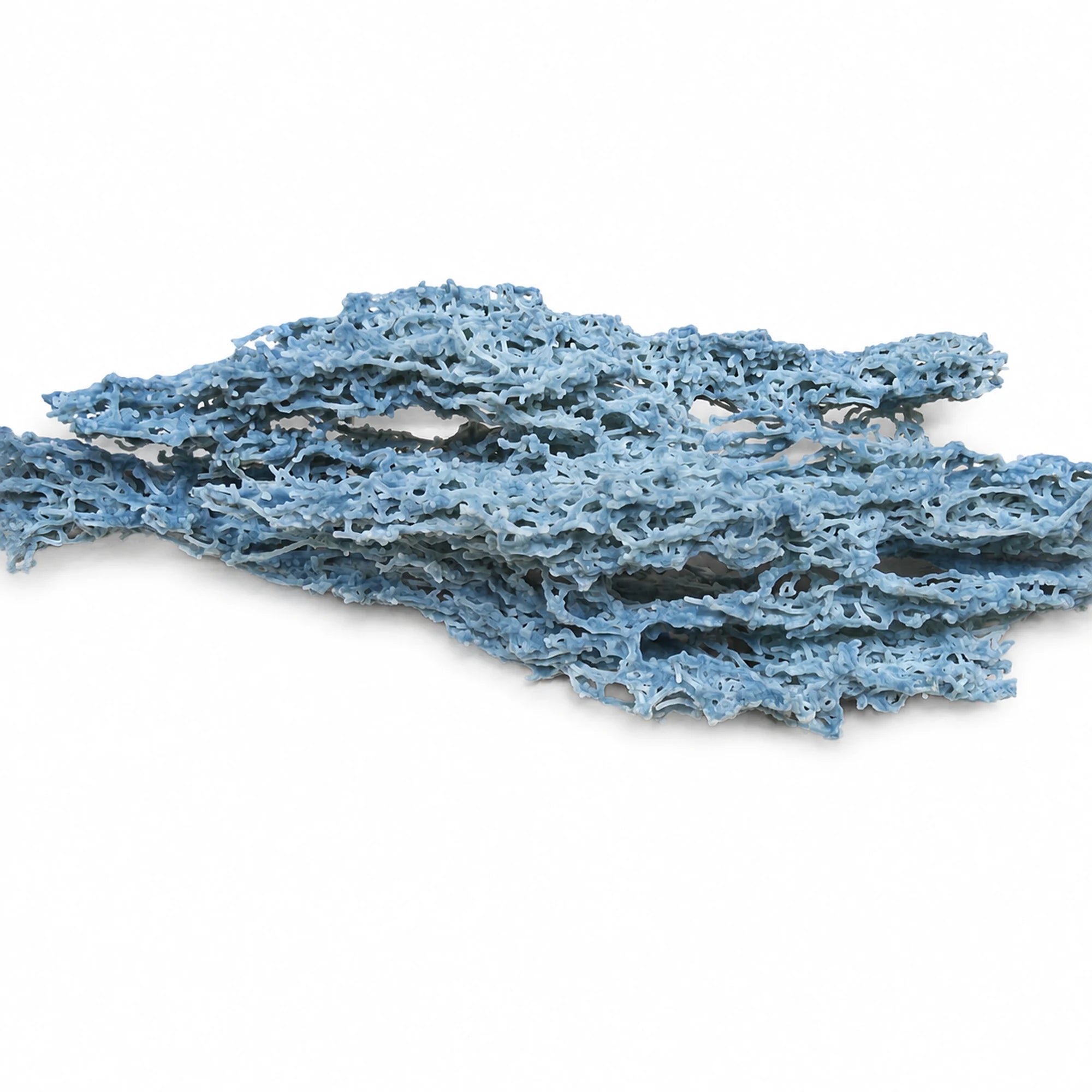 Gros plan sur la texture filamenteuse et ajourée d’une Calcédoine « corail » bleue brute d’Inde