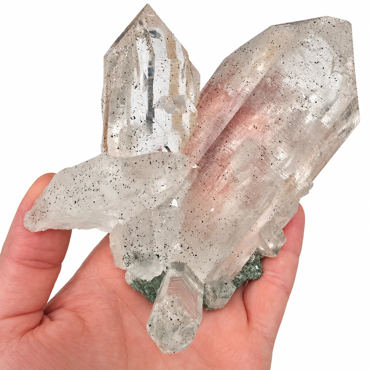 Cristal de roche de collection de superbe qualité photographié dans la main, provenant de la vallée de Kullu en Inde et riche en microcristaux noirs d’anatase