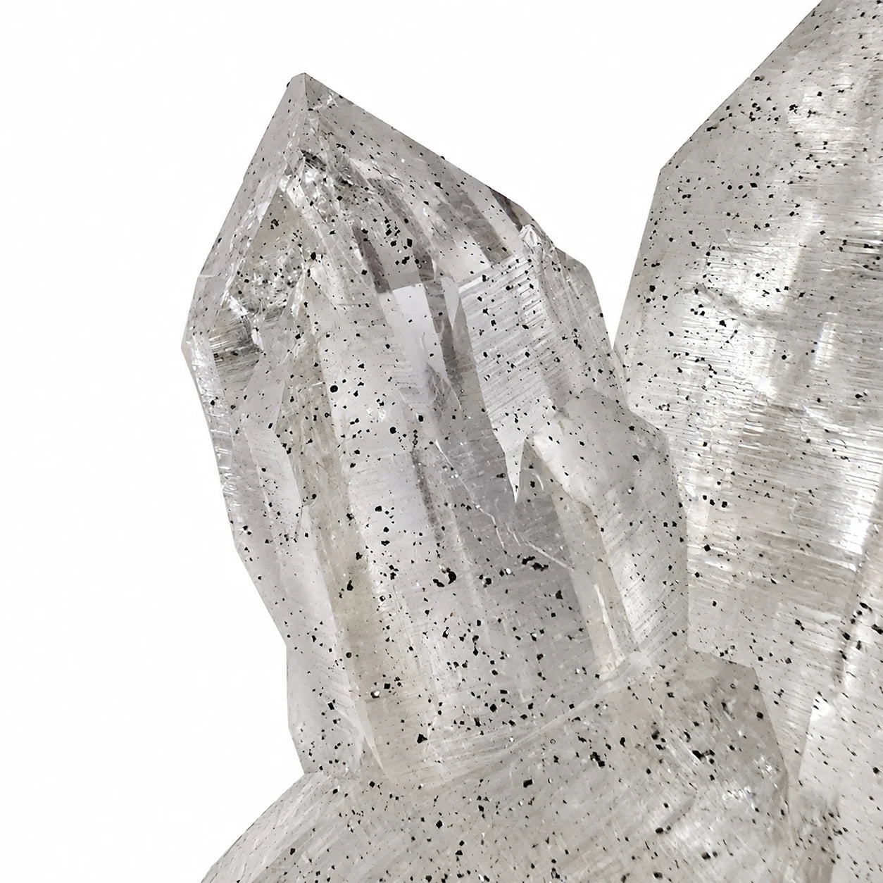 Vue rapprochée d’un cristal de roche de qualité exceptionnelle provenant de Kullu en Inde, avec nombreux microcristaux d’anatase inclus dans le quartz