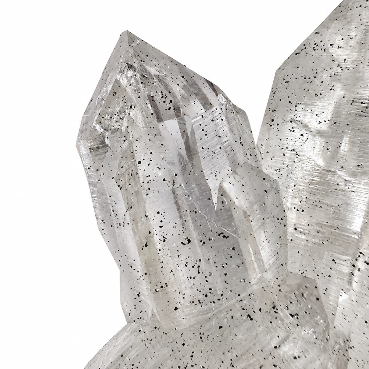 Vue rapprochée d’un cristal de roche de qualité exceptionnelle provenant de Kullu en Inde, avec nombreux microcristaux d’anatase inclus dans le quartz