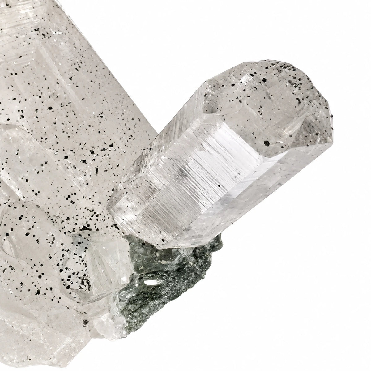 Macro photographie d’un cristal de roche indien de collection, avec quartz translucide et microcristaux noirs d’anatase visibles sur les faces cristallines