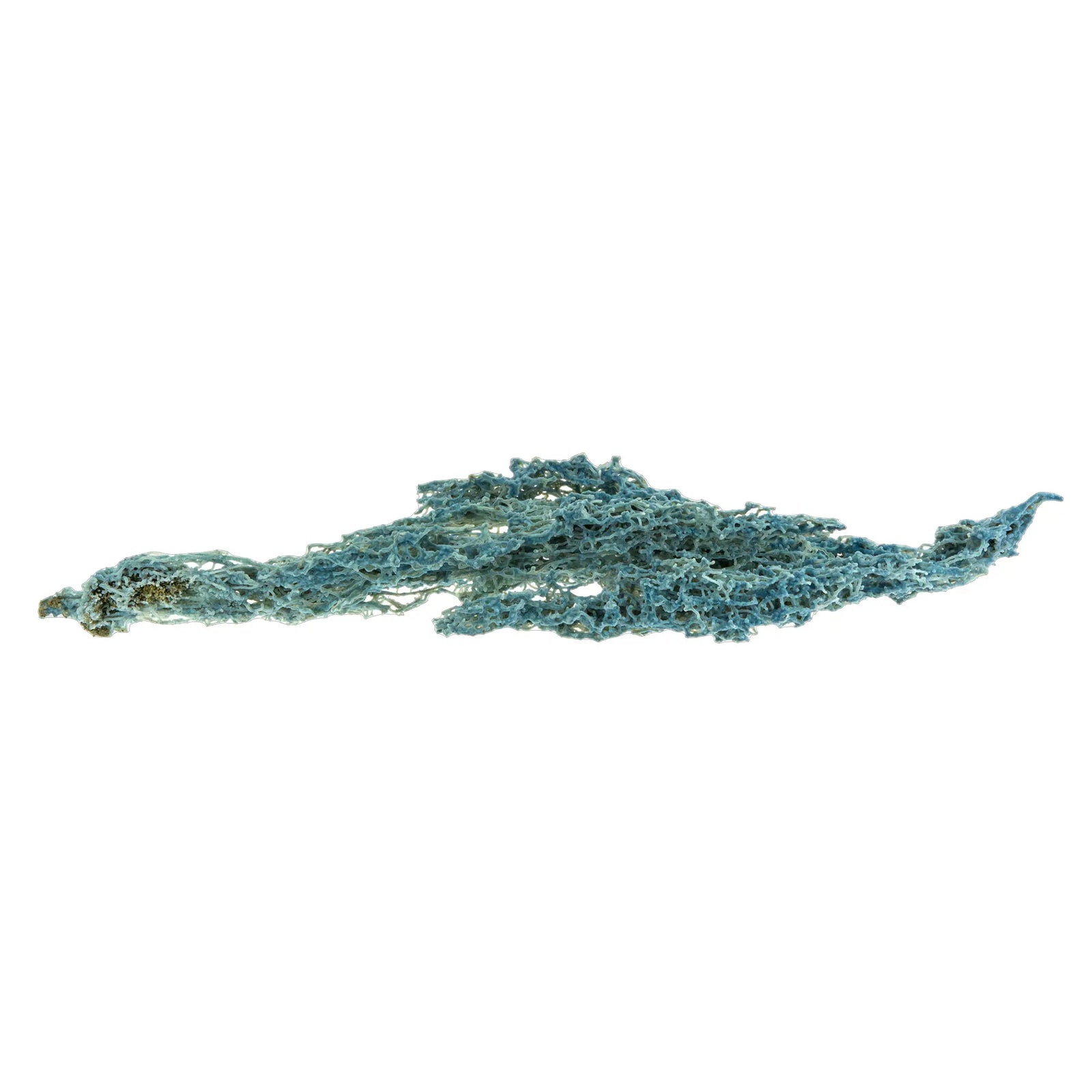 Calcédoine bleue corail - pierre brute  - CRISTAL SOURCES