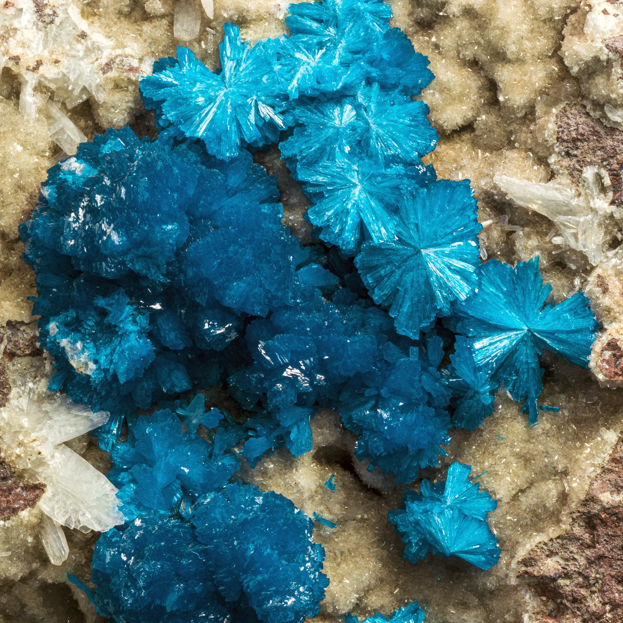 Cavansite - Stilbite - pierre brute - Inde - collection -  16,86kg