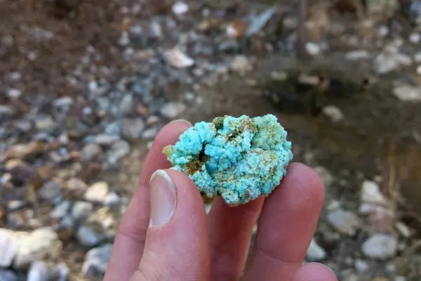 Chrysocolle cristallisée sur un gisement de cuivre en Arizona