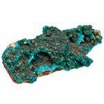 Dioptase de Mindouli, Congo, avec druse verte recouverte d’oxydes bruns et petits cristaux jaunes de mimétite