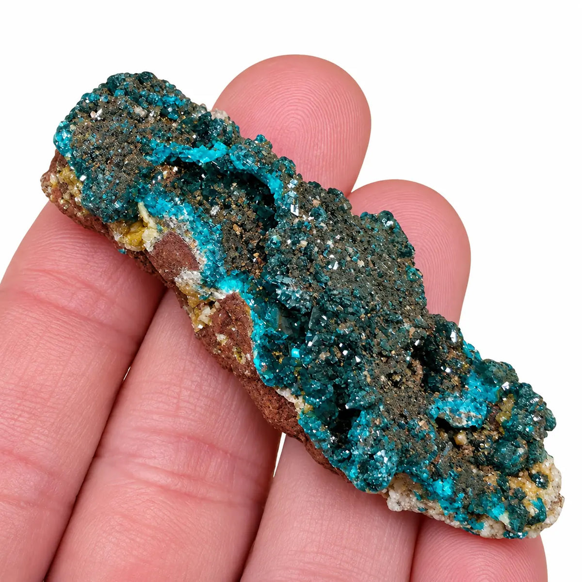 Dioptase et mimétite de Mindouli tenues entre les doigts, montrant les cristaux millimétriques et la forme allongée du spécimen