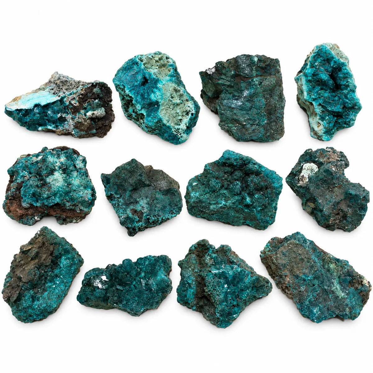 Pierres de dioptase brute de Mindouli, aux cristallisations vert bleu et aux traces de gangue brune, sur fond blanc