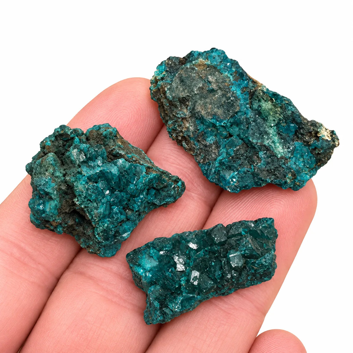 Dioptases brutes de Mindouli présentées dans une main, montrant leurs petits cristaux brillants et leur relief naturel