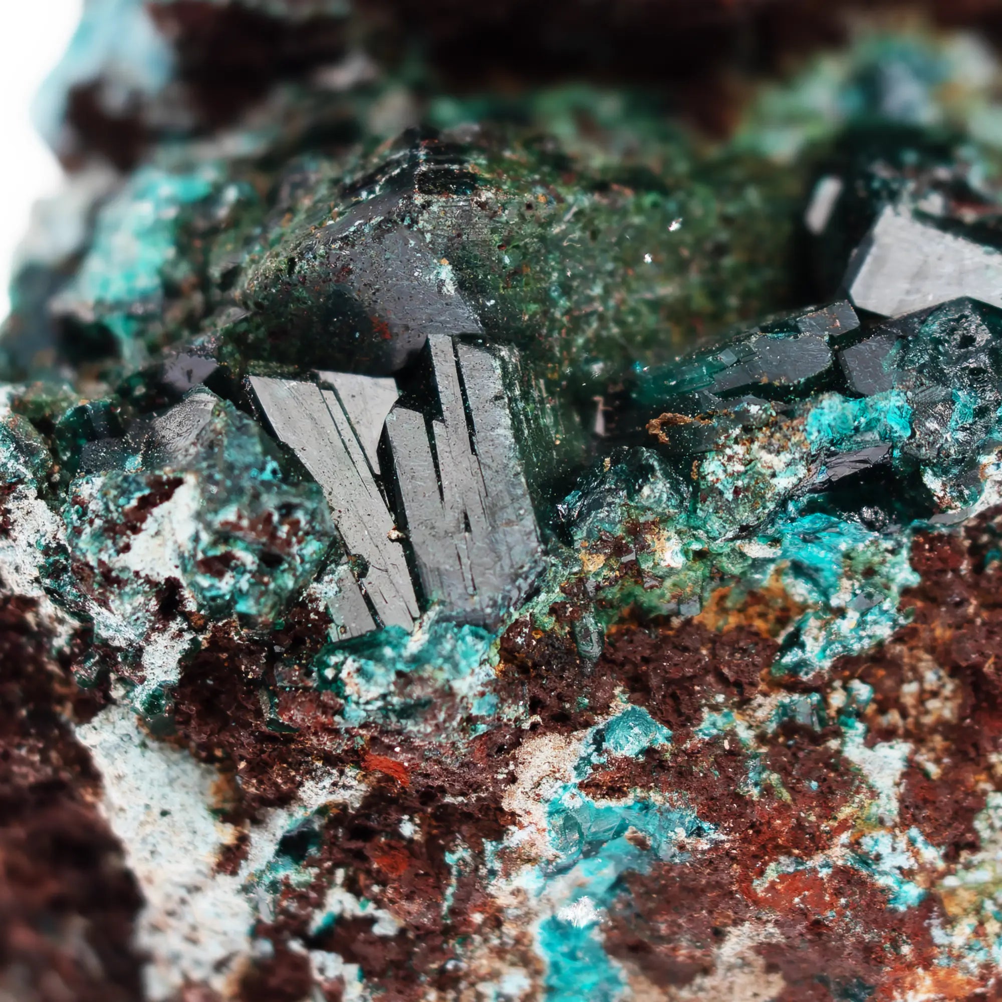 Dioptase avec Shattuckite sur gangue - Mindouli