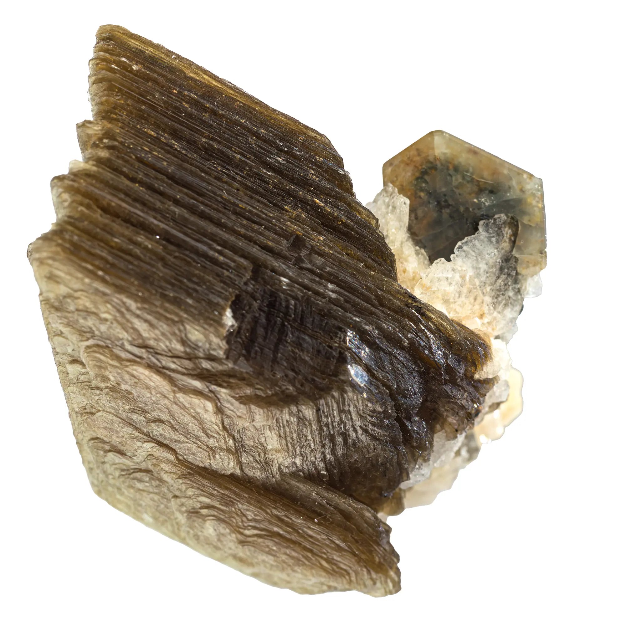 Apatite, albite et muscovite - Sapo mine, Minas Gerais, Brésil - CRISTAL SOURCES