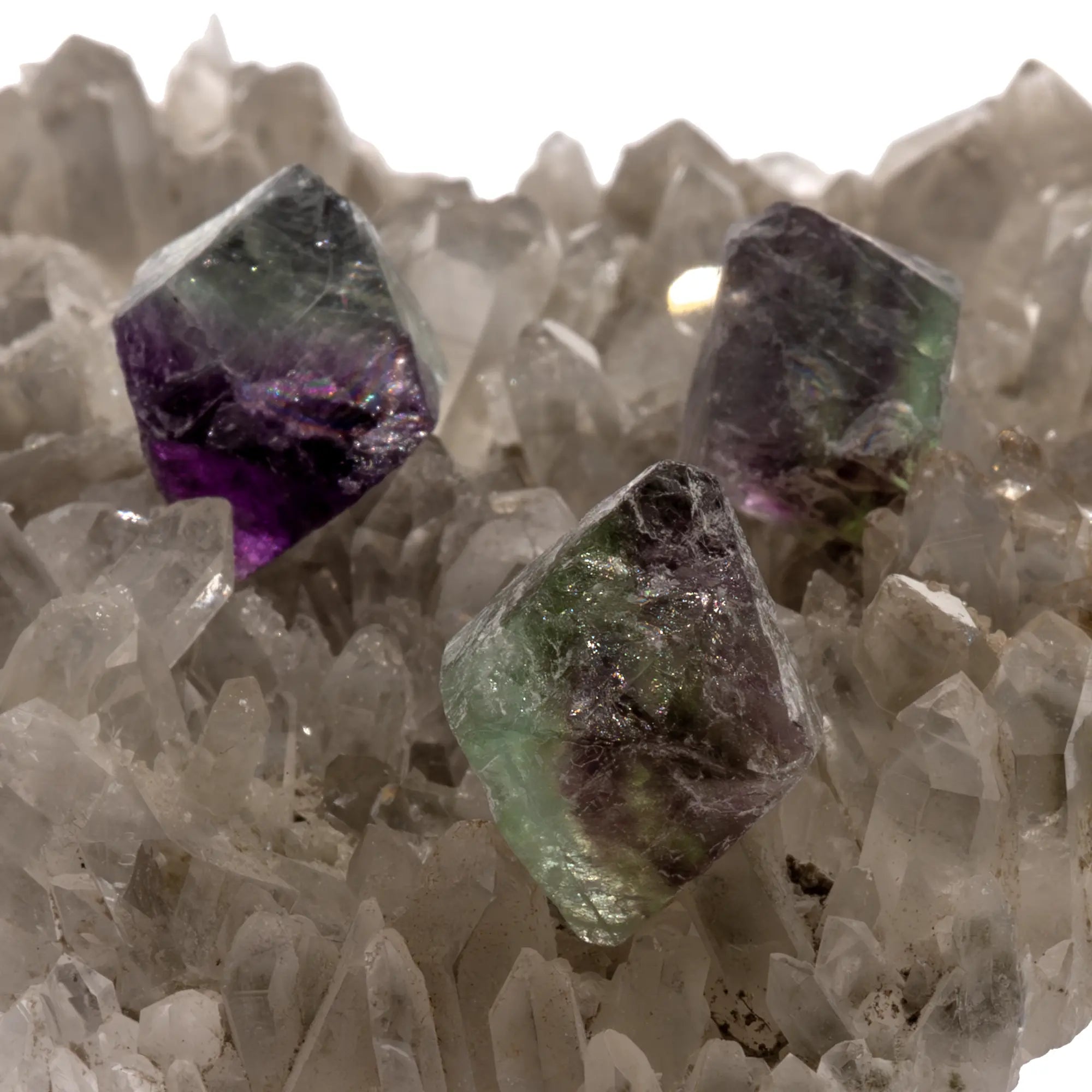 fluorite multicolore vertus - fluorite brut - fluorite cristal