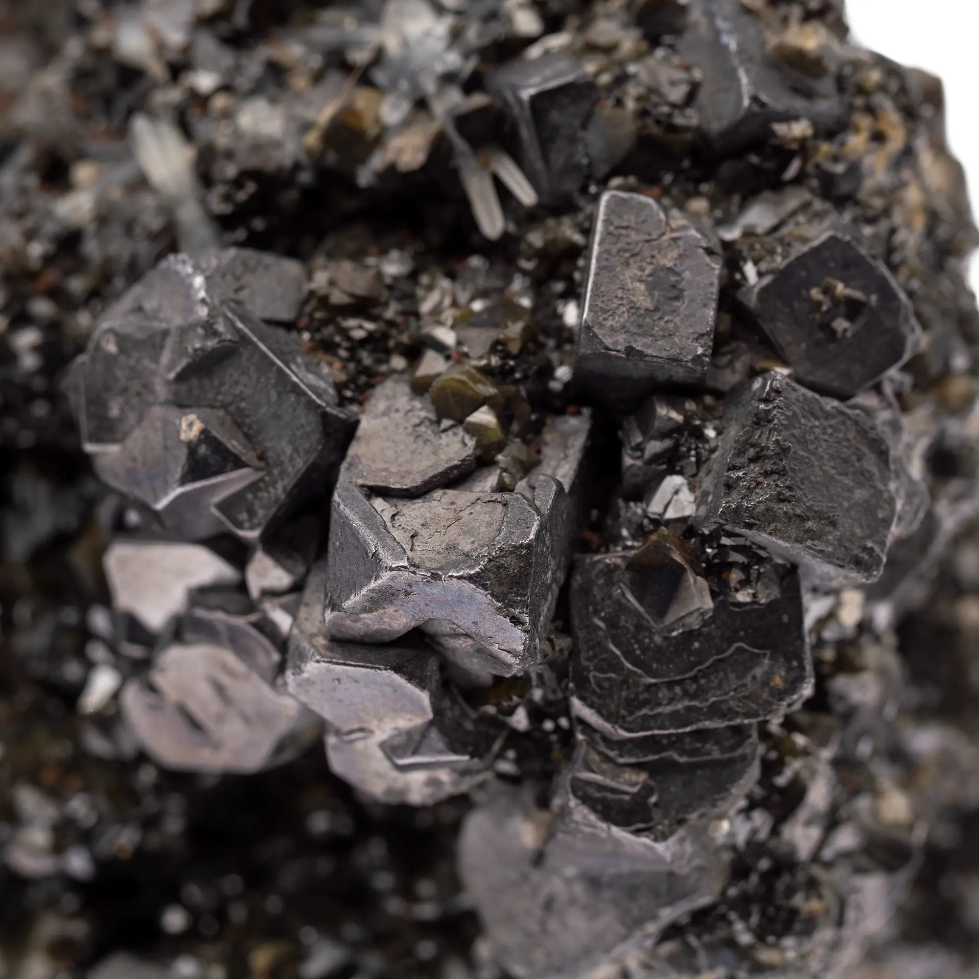 Galène cristaux sur sphalérite verte - Madan, Bulgarie - galene-cristaux-sur-sphalerite-madan-bulgarie-gal1 - CRISTAL SOURCES