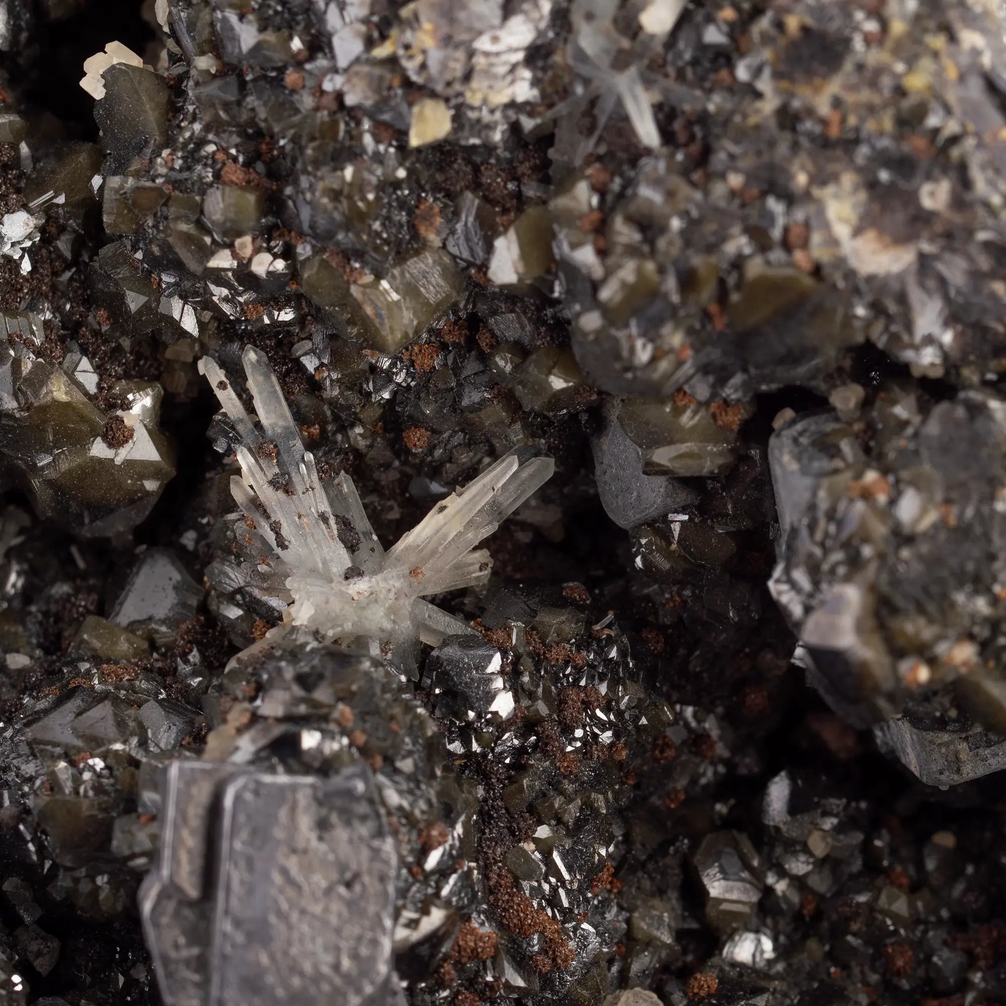 Galène cristaux sur sphalérite verte - Madan, Bulgarie - galene-cristaux-sur-sphalerite-madan-bulgarie-gal1 - CRISTAL SOURCES